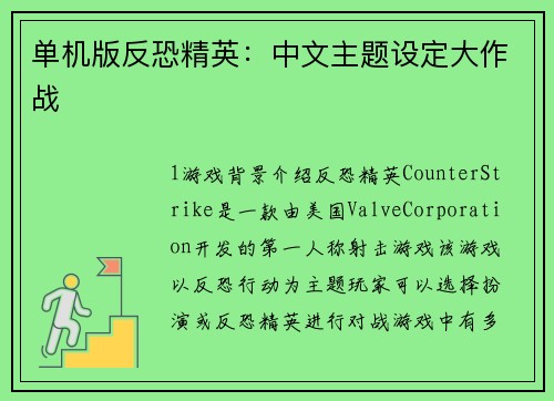 单机版反恐精英：中文主题设定大作战