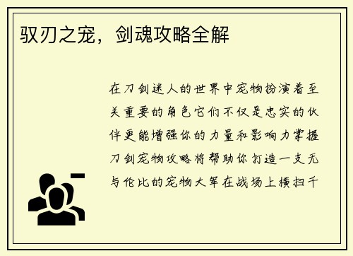 驭刃之宠，剑魂攻略全解